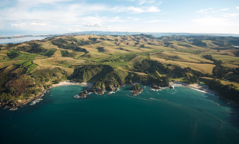 An aerial view of Man O' War Bay and vineyards.