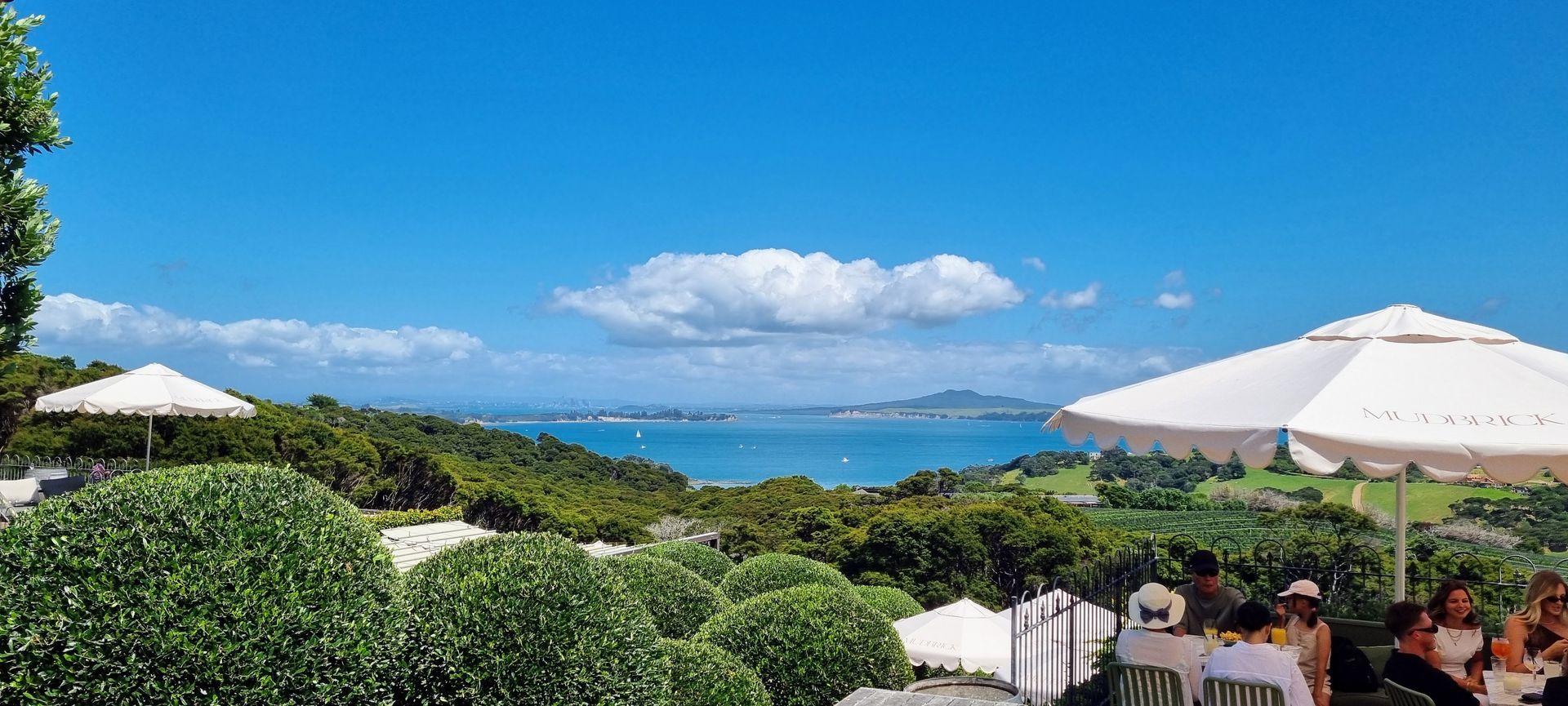 Gardens and views at Mudbrick Vineyard, Waiheke Island