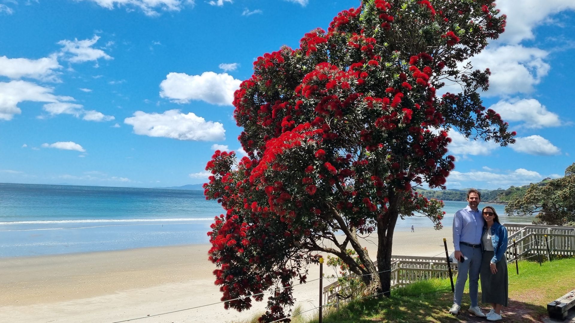 A couple under red pōhutukawa blossom in Onetangi, Waiheke Island