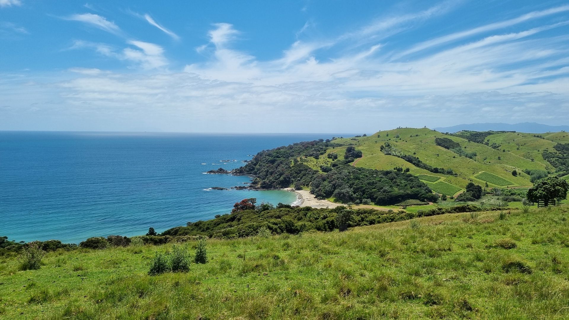 A sheltered bay on Waiheke Island's south coast