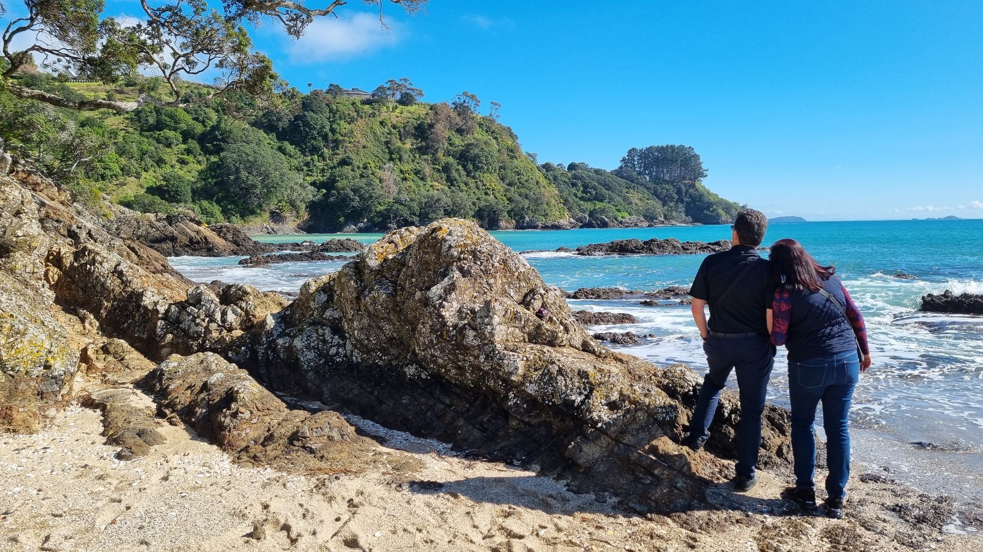 Palm Beach on Waiheke Island