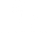 Waiheke Freedom Tours Logo