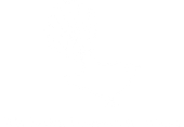 Waiheke Freedom Tours Logo