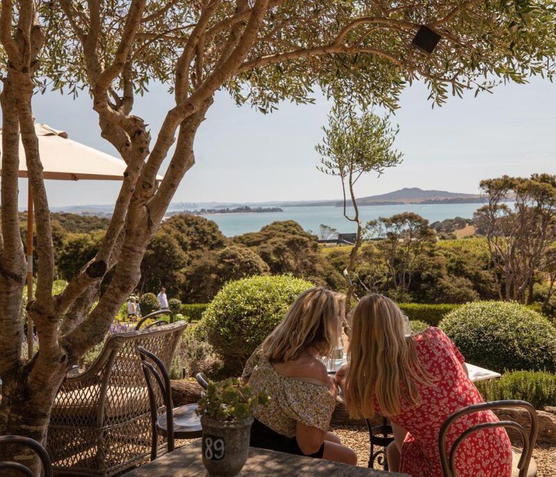 Mudbrick vineyard looking across the Hauraki Gulf to Auckland