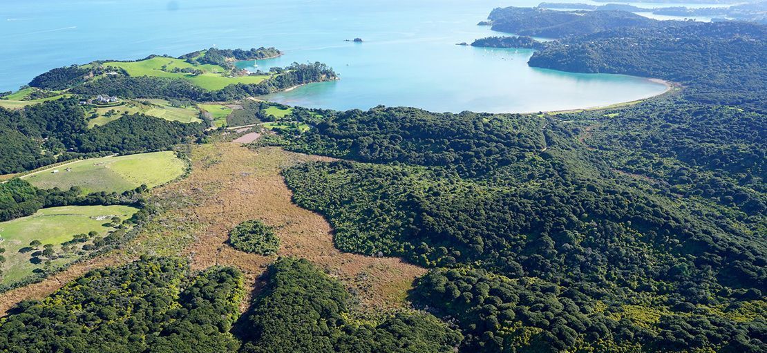 Aerial view Man o'War bay Waiheke Island