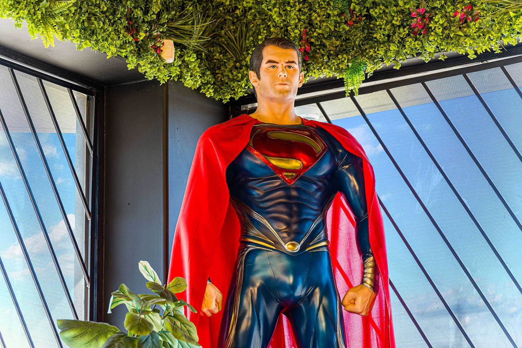 Superman statue in red cape beneath a leafy canopy, standing by large windows