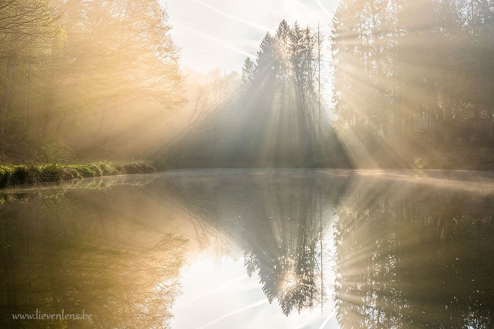 Vissen in Oost Vlaanderen Vlaamse ardennen