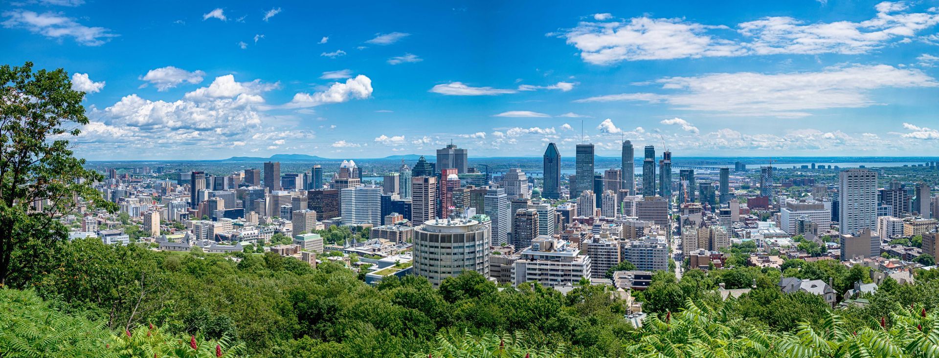 Panoramic view of the Montreal skyline from Mount Royal, featuring dense city buildings under a bright, sunny blue sky.