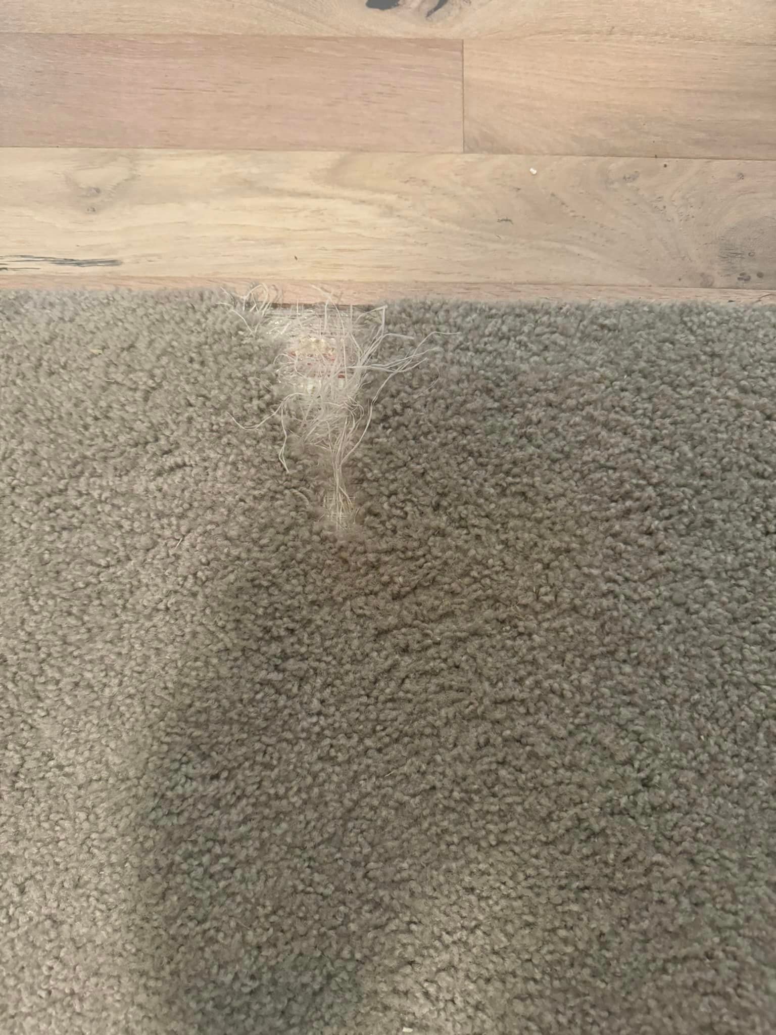 A close up of a carpet next to a wooden floor.
