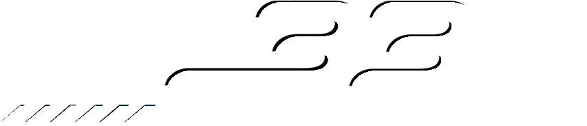 Sp33dinsurance logo
