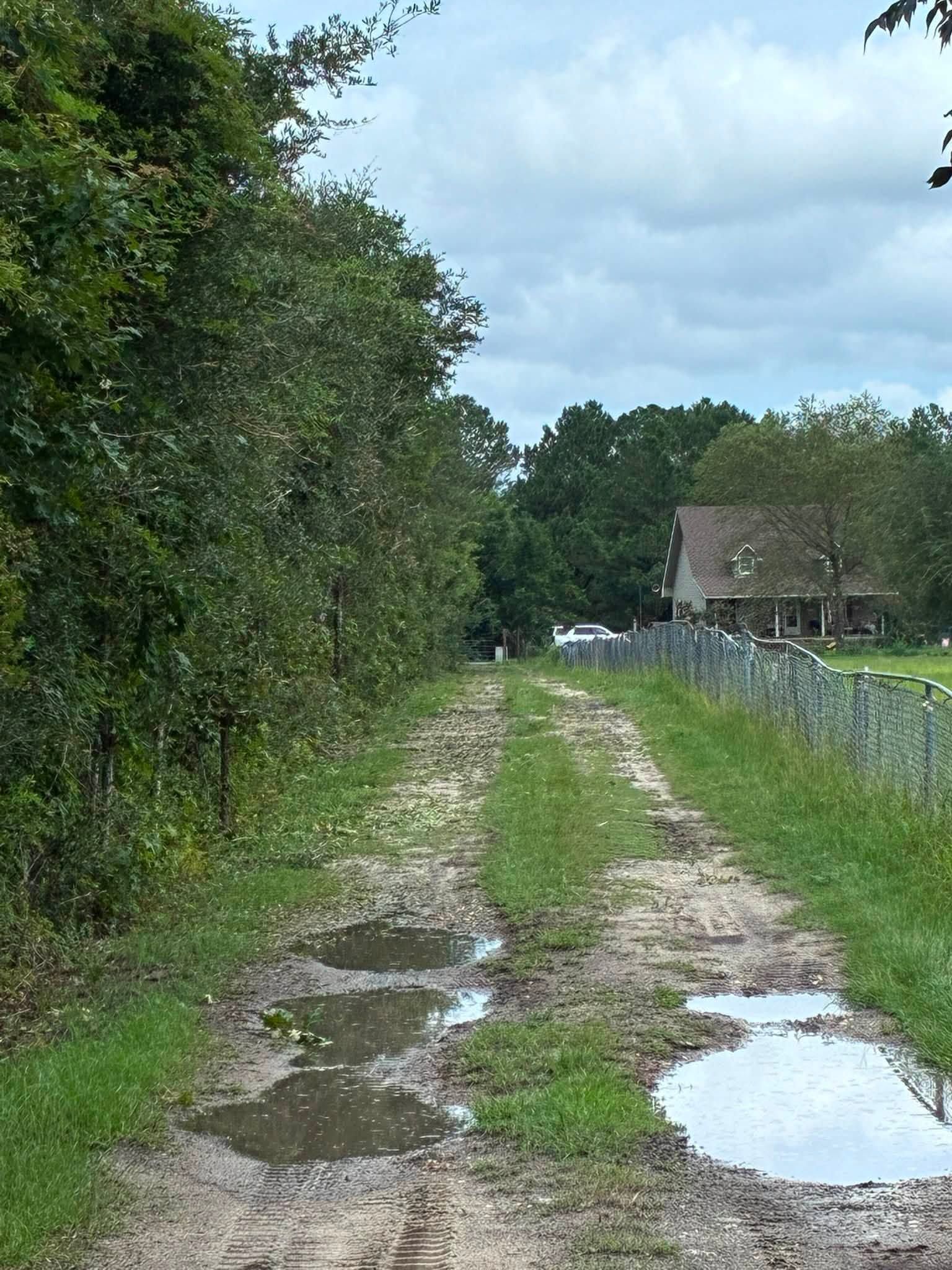Muddy dirt lane with puddles, bordered by dense trees and a house in the distance under cloudy skies
