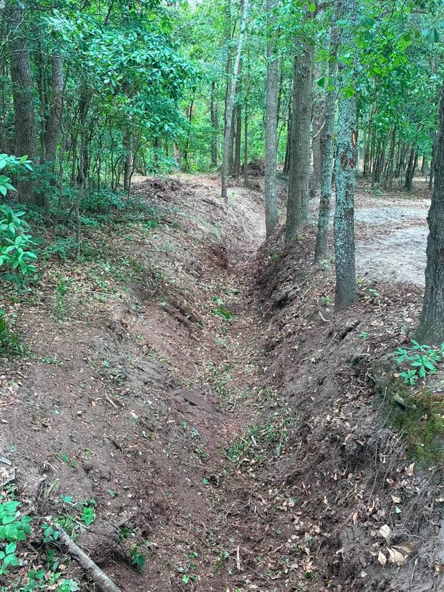 Forest trail with a muddy gully and trees lining both sides