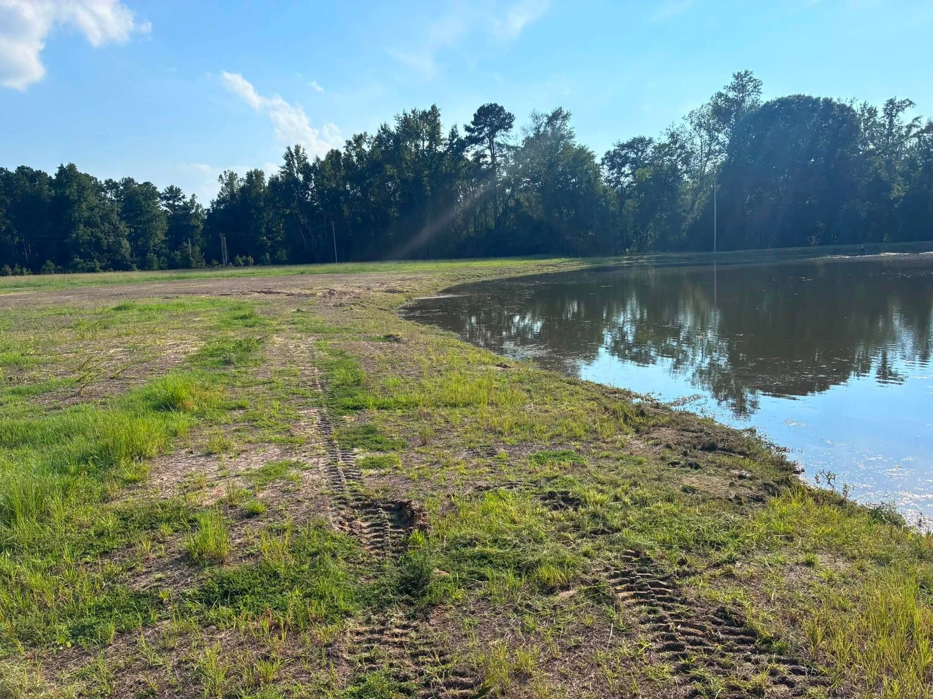 Grassy path beside a calm pond under a blue sky, with trees along the far shore.