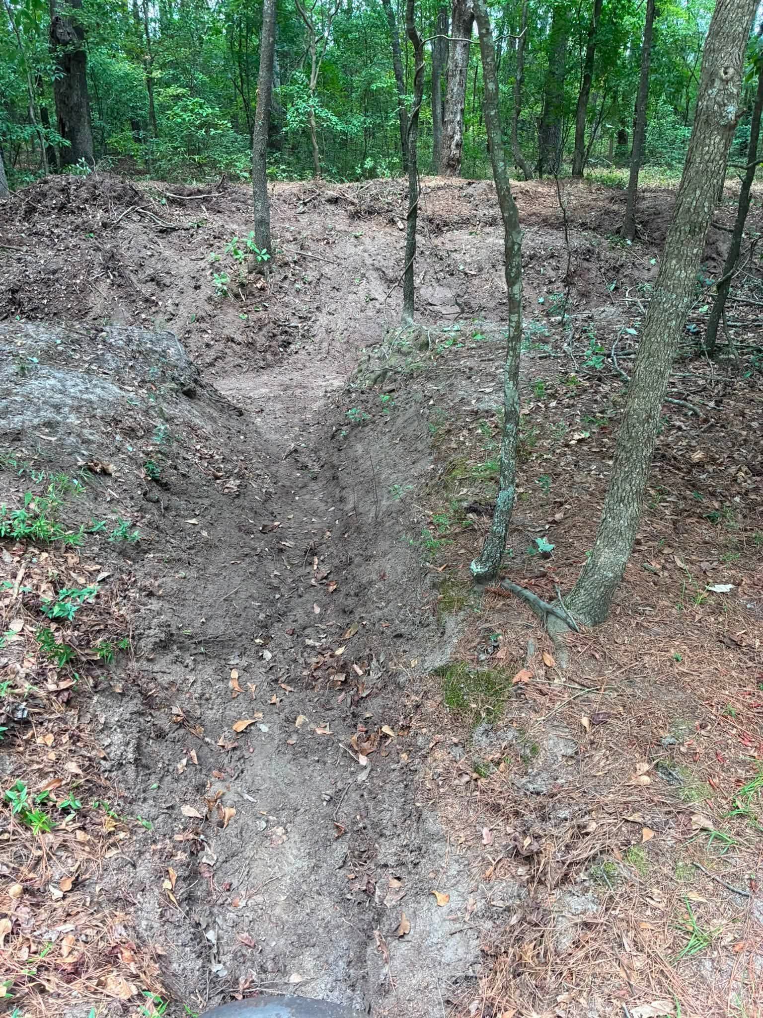 Wooded dirt trail climbing a steep, leaf-covered slope in a forest
