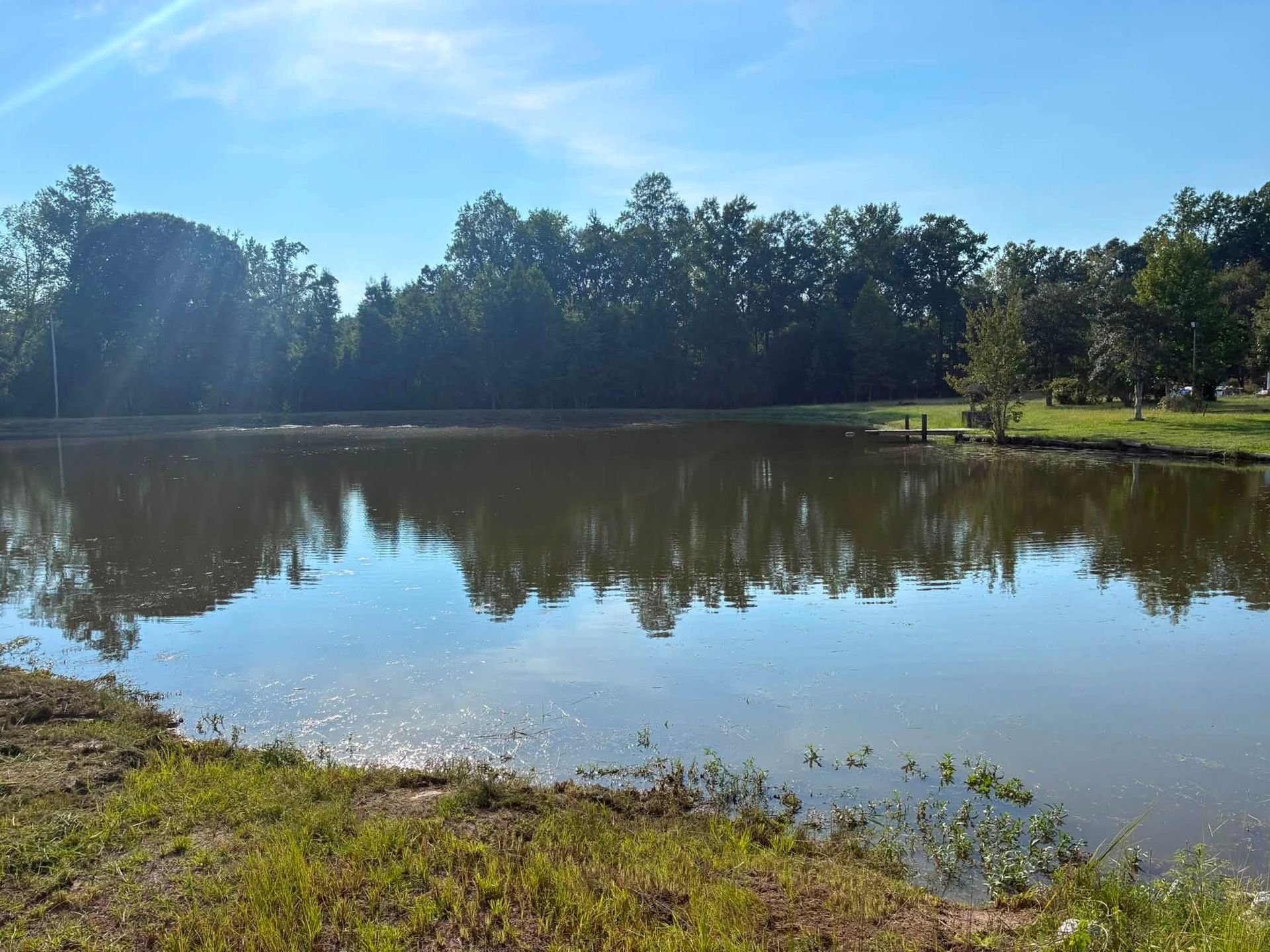Calm pond reflecting trees and blue sky on a sunny day