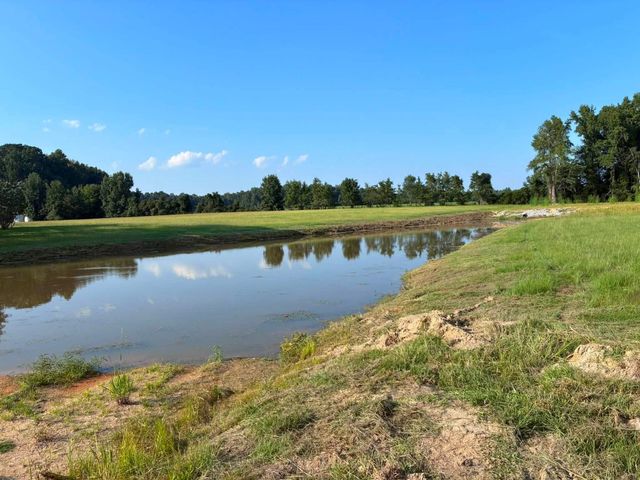 Quiet pond reflecting blue sky beside grassy bank and trees under a clear day.