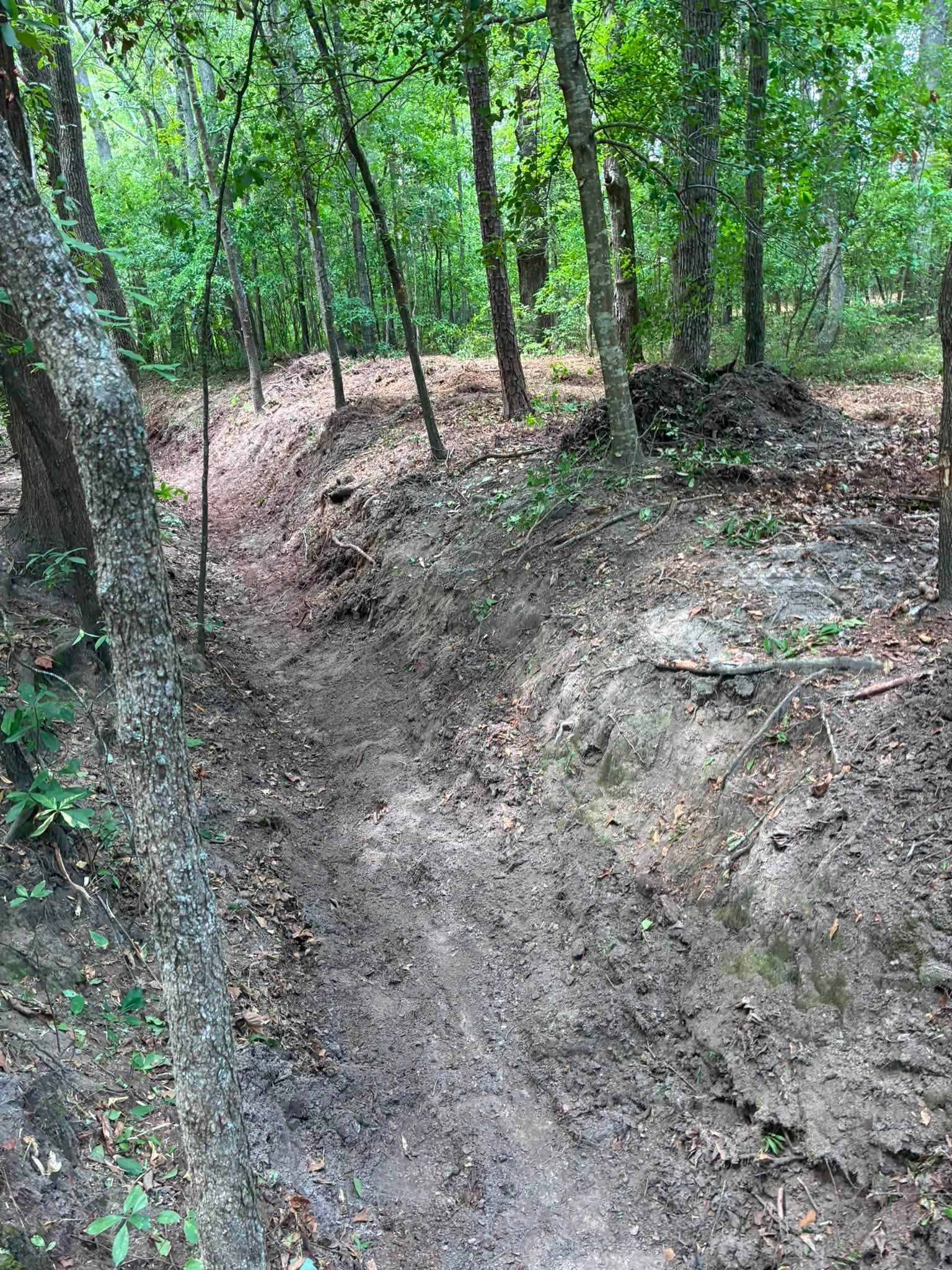 Dirt trail winding through a wooded forest with green trees and leaf-covered ground