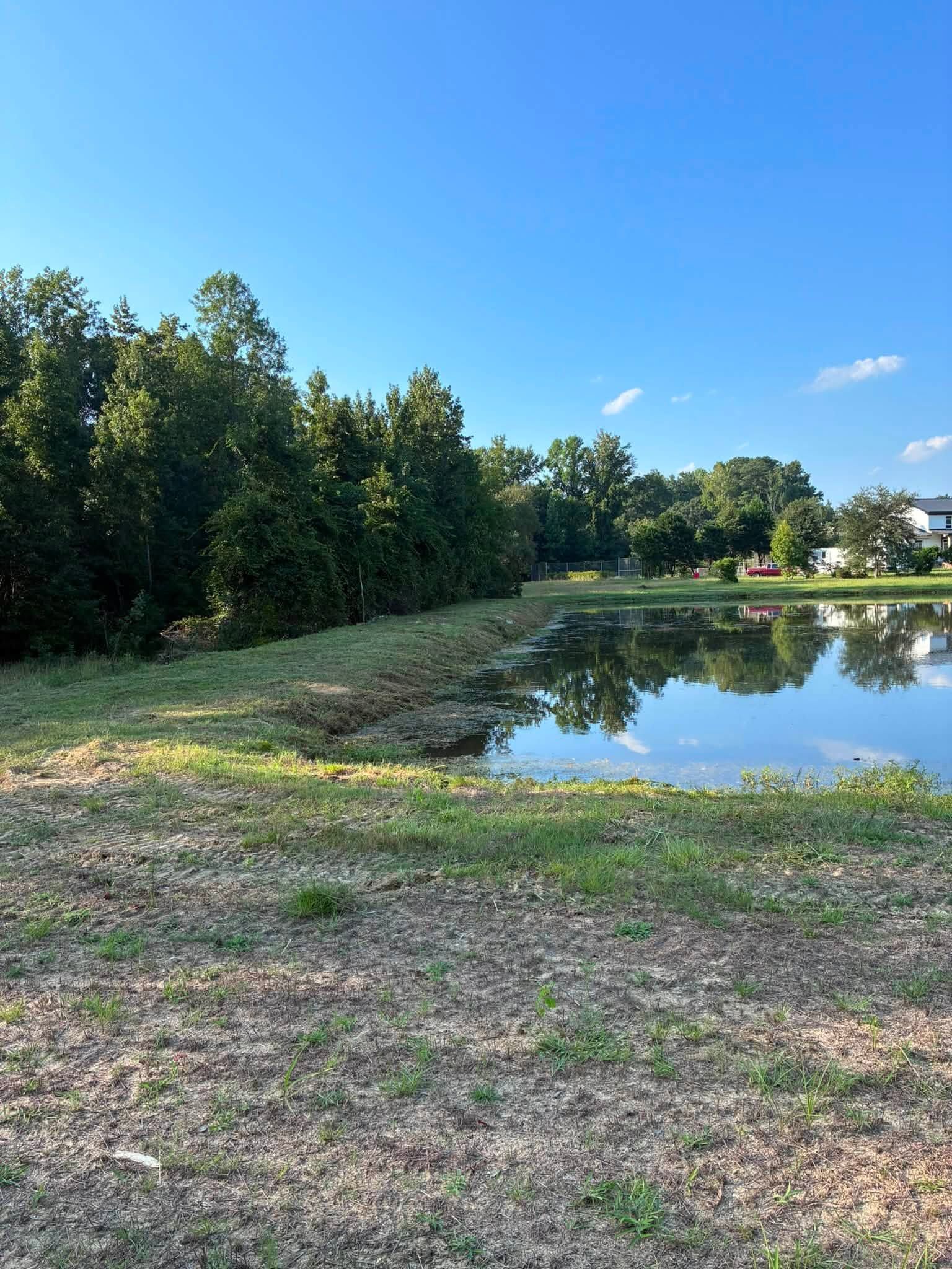 Pond reflecting blue sky beside a tree-lined grassy shore and gravel path