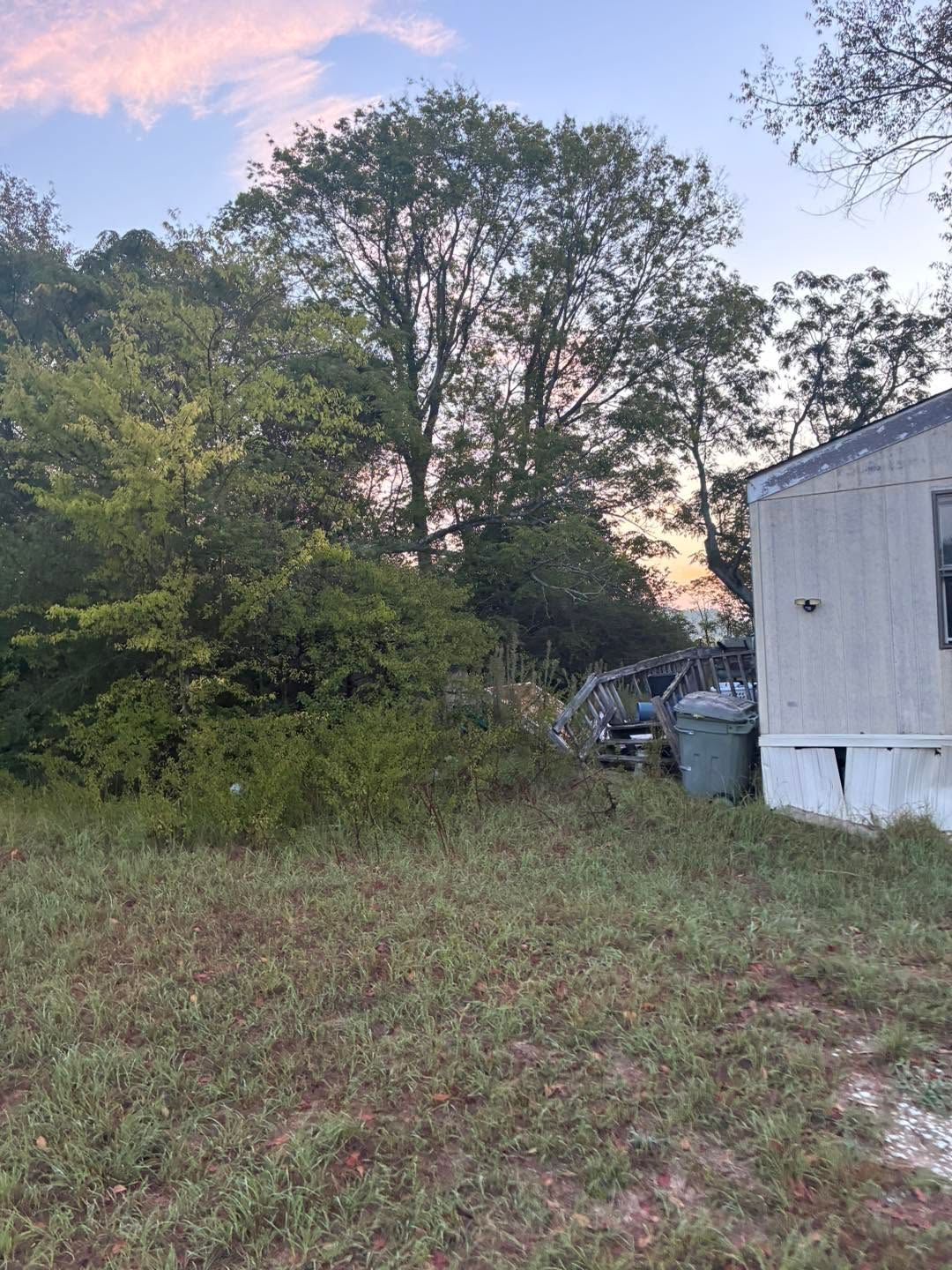 Overgrown yard beside a white mobile home at dusk, with trees and a pink-blue sky.
