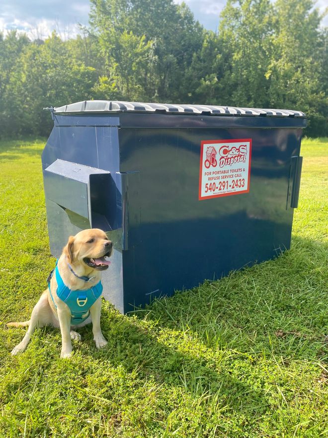 Yellow Labrador dog wearing blue vest sits next to a blue dumpster outdoors.