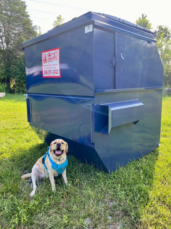 Smiling yellow lab sitting next to a large blue dumpster on grassy ground.