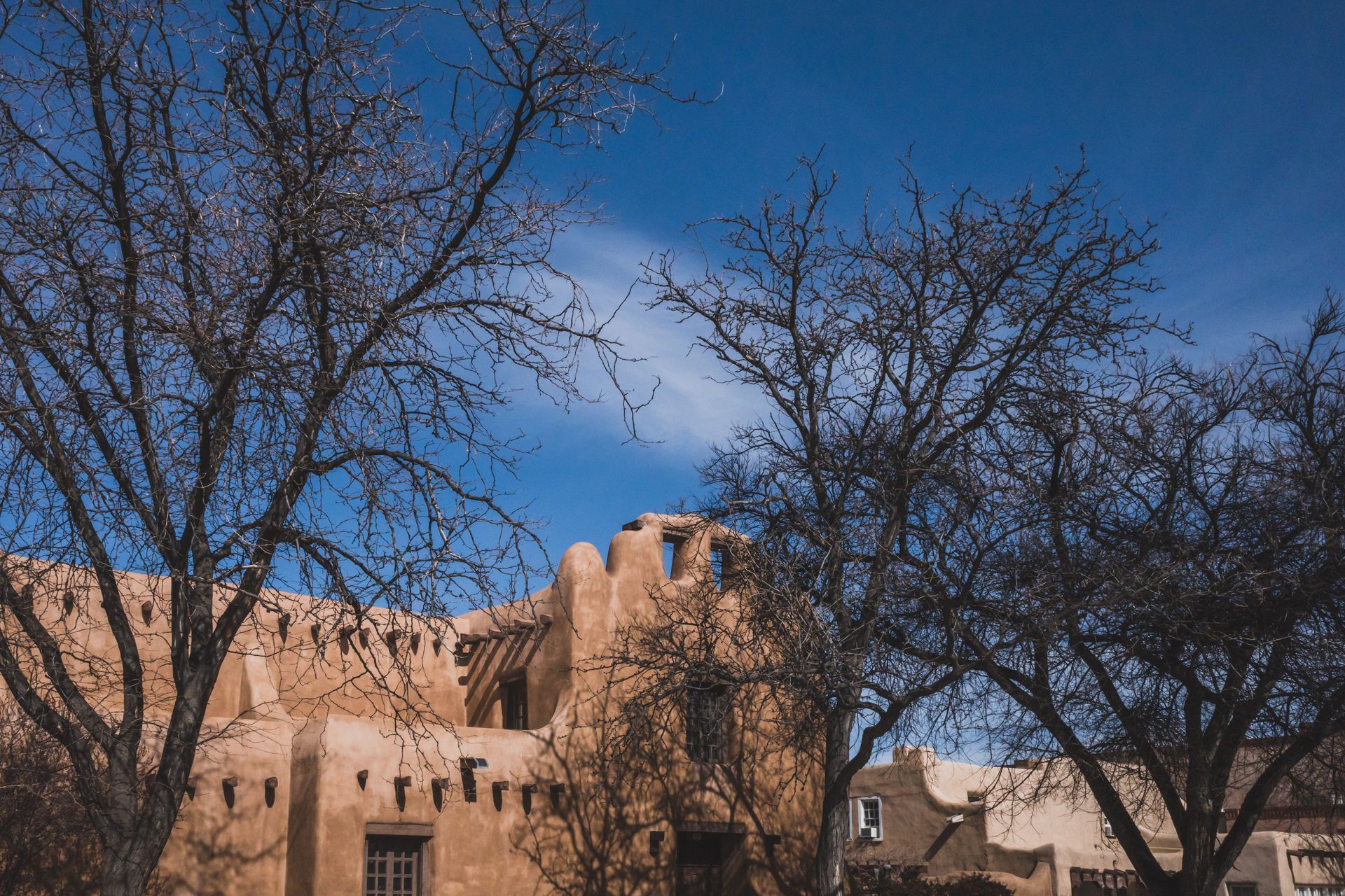 Adobe-style tan building with bare trees against a blue sky