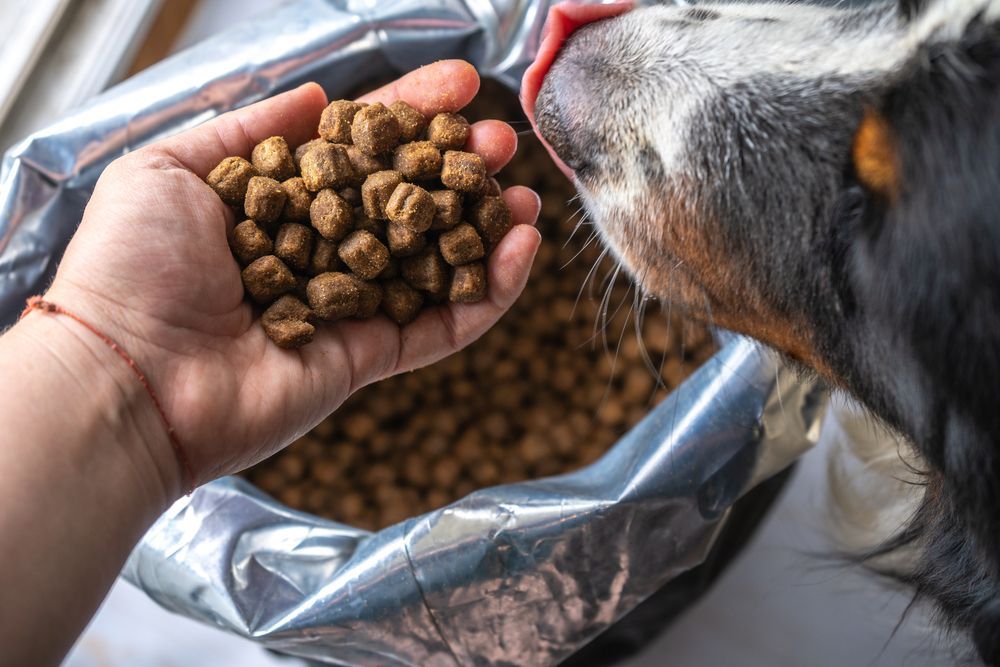 Dry Dog Food in Plastic Bag and Dog Head — Pet Food & Vet Supplies in Crows Nest, QLD