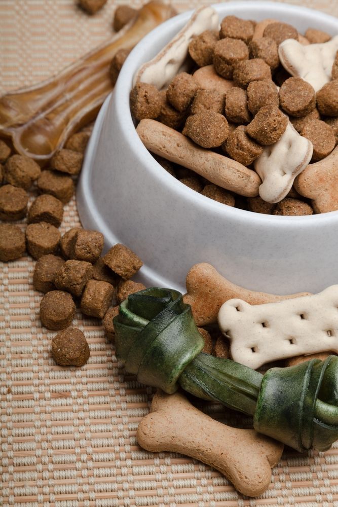 Dog Food — Pet Food & Vet Supplies in Crows Nest, QLD