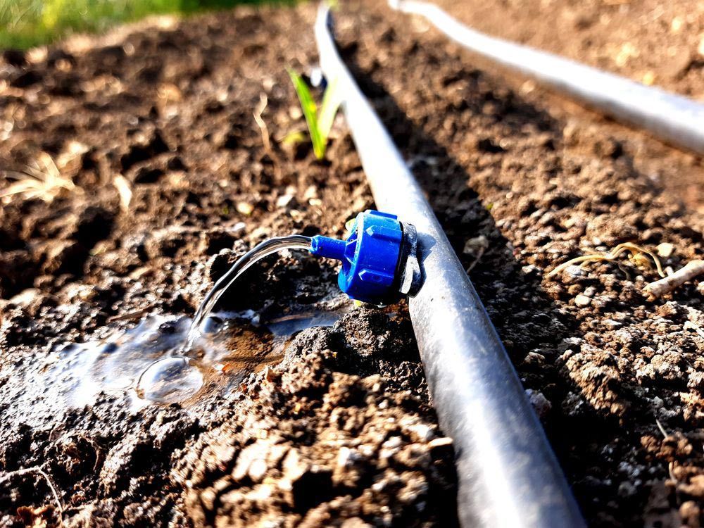 Drip Slowly To The Roots Of Plants — Providing Farm Supplies in Crows Nest, QLD