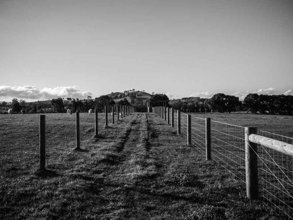 Farm Fencing Land — Farming Equipment & Livestock Troughs in Crows Nest, QLD