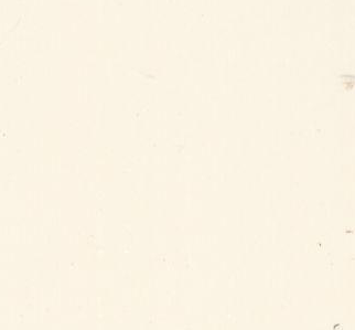 Sfondo di carta biancastra con lievi macchie e sbavature.
