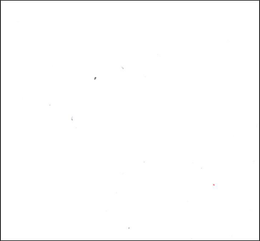 Immagine prevalentemente bianca e vuota, con alcune minuscole macchie scure sparse.