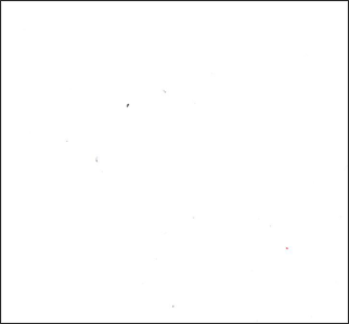 Schermo prevalentemente bianco vuoto con qualche minuscolo puntino grigio sparso sopra.