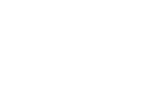 Company Logo - Footer/white overlay