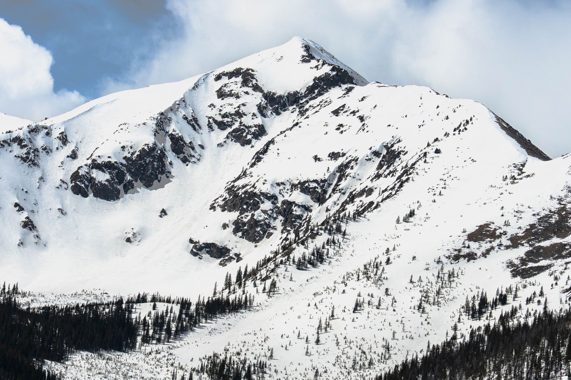 Snow-covered mountain peak with dark trees dotting the lower slopes, against a cloudy sky.