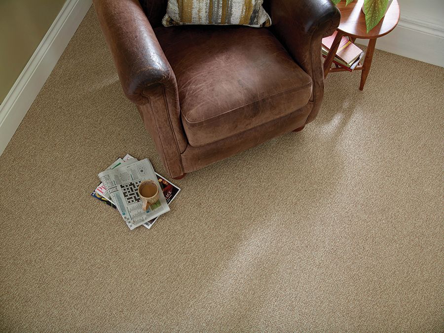 Discovery by Brockway Carpets