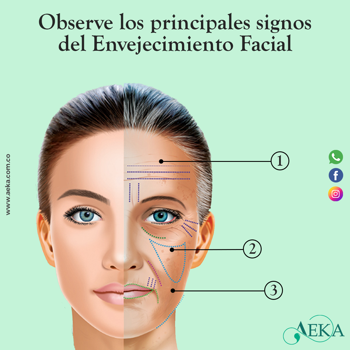 Principales signos del Envejecimiento Facial