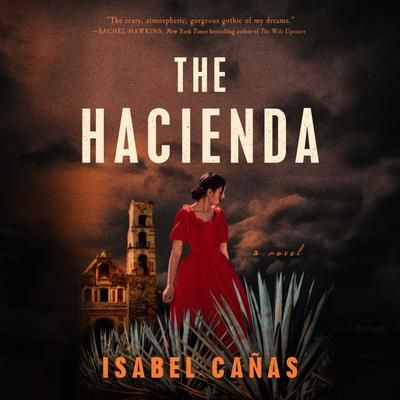 Book cover for