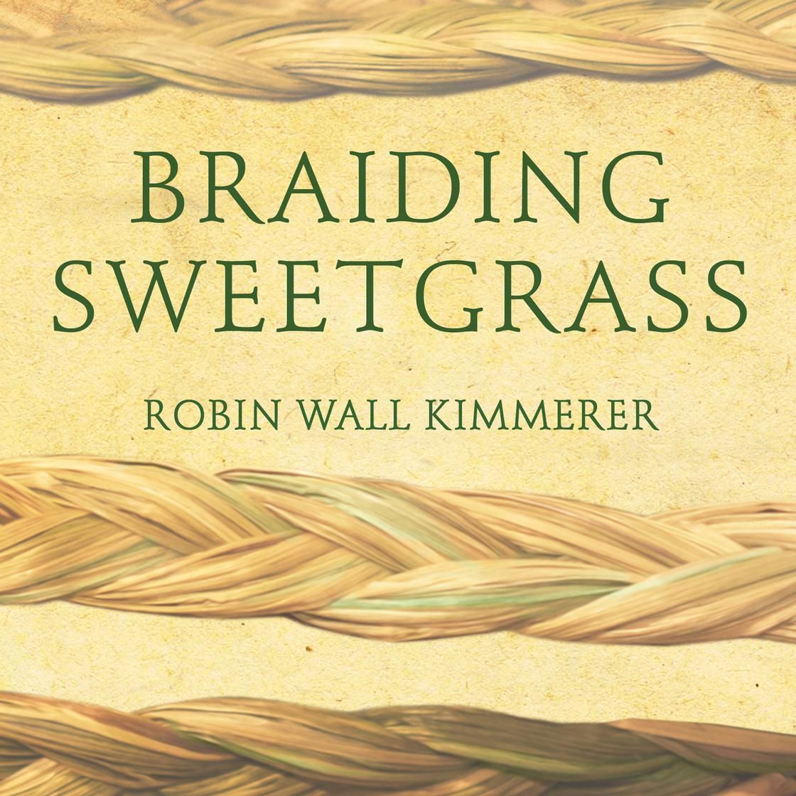 Book cover for
