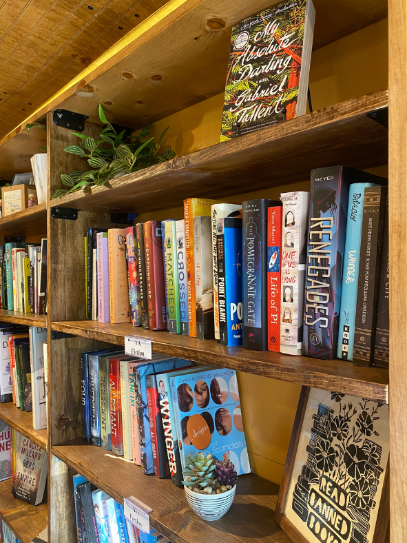 Wooden bookshelf filled with books, a small plant, and a framed art piece.