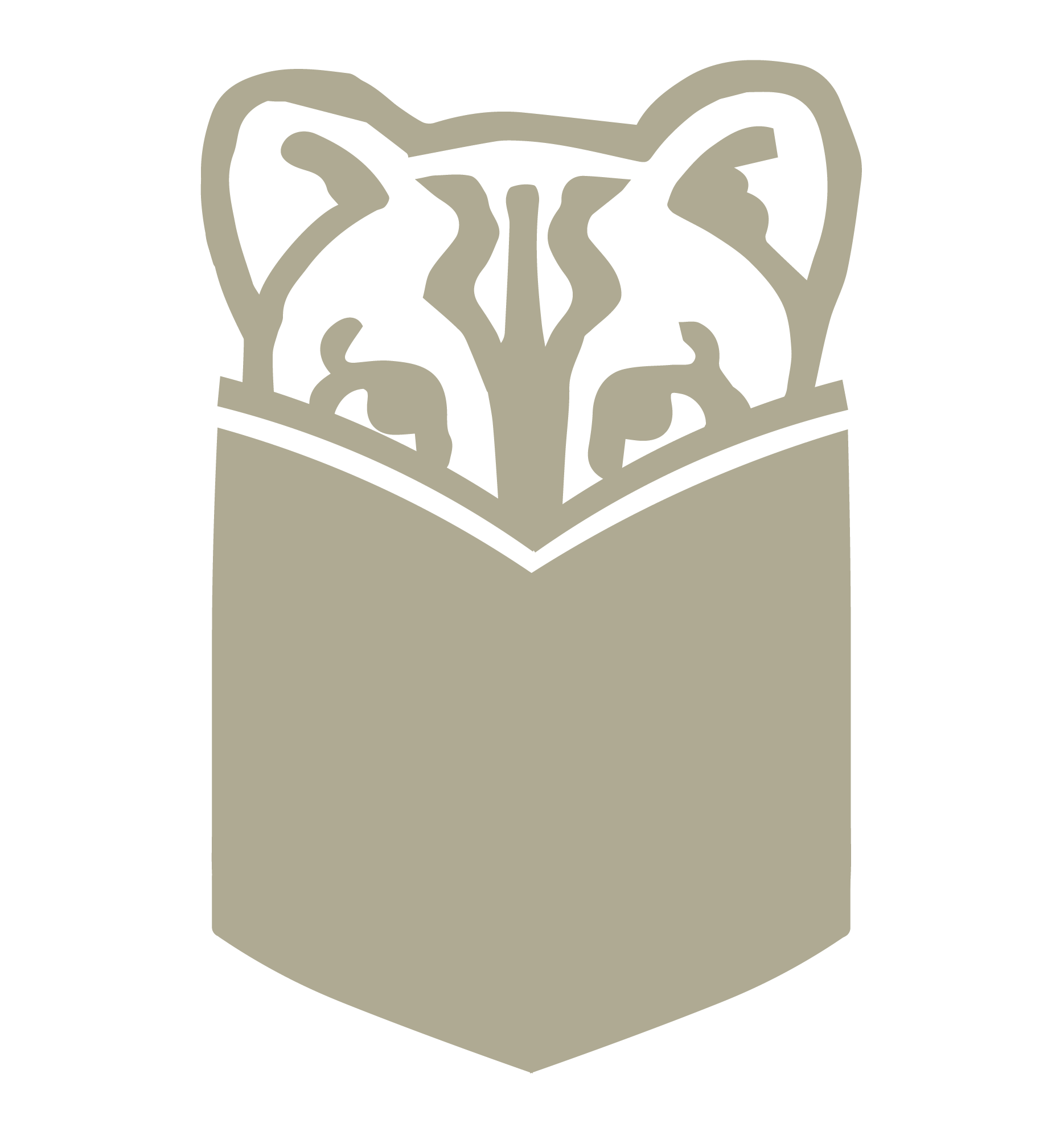 A raccoon is sticking its head out of a book.