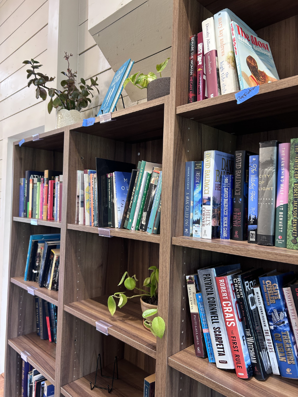 Wooden bookshelf filled with books and small potted plants in a bright room