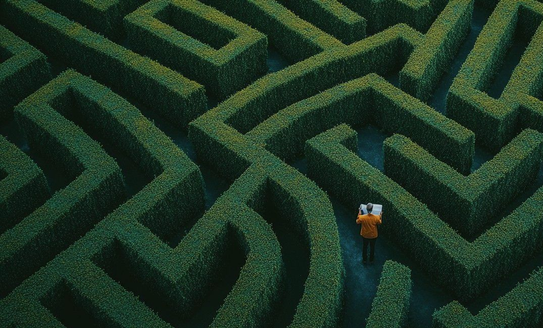 Person in an orange jacket standing in a green hedge maze viewed from above
