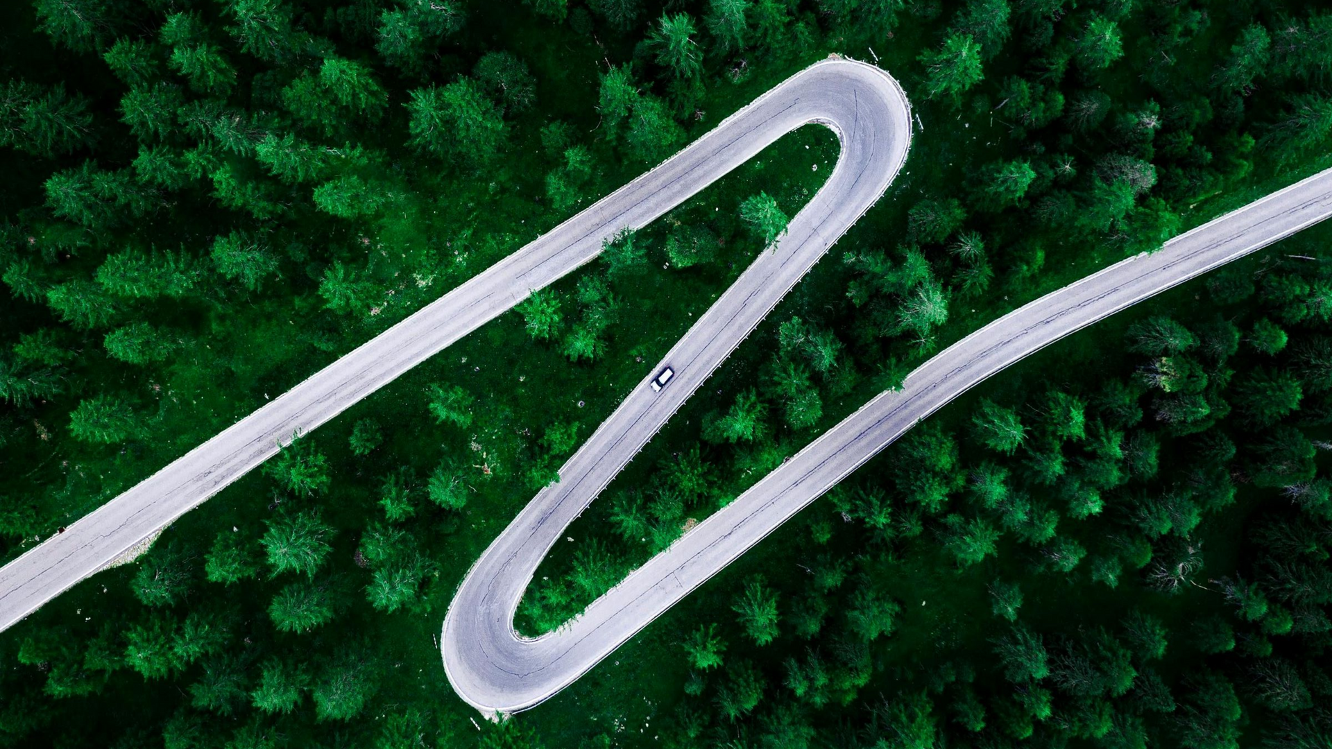 Aerial view of a winding gray road through dense green forest
