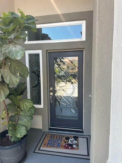 Front door with sidelight and transom window. Dark door with decorative glass,
