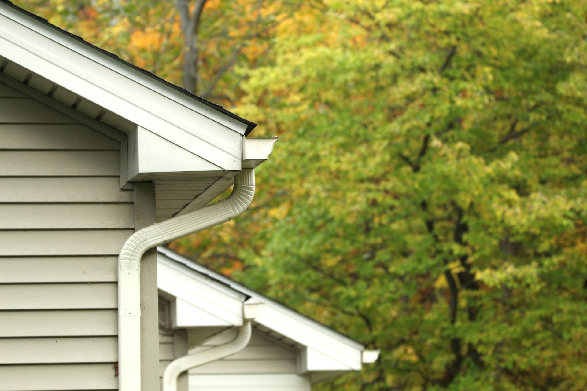 Light beige house with white gutters and downspout, green and yellow trees in the background. Light beige house with white gutters and downspout, green and yellow trees in the background.
