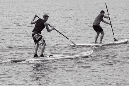 Two paddleboarders in black-and-white, balancing on boards and paddling across calm water.