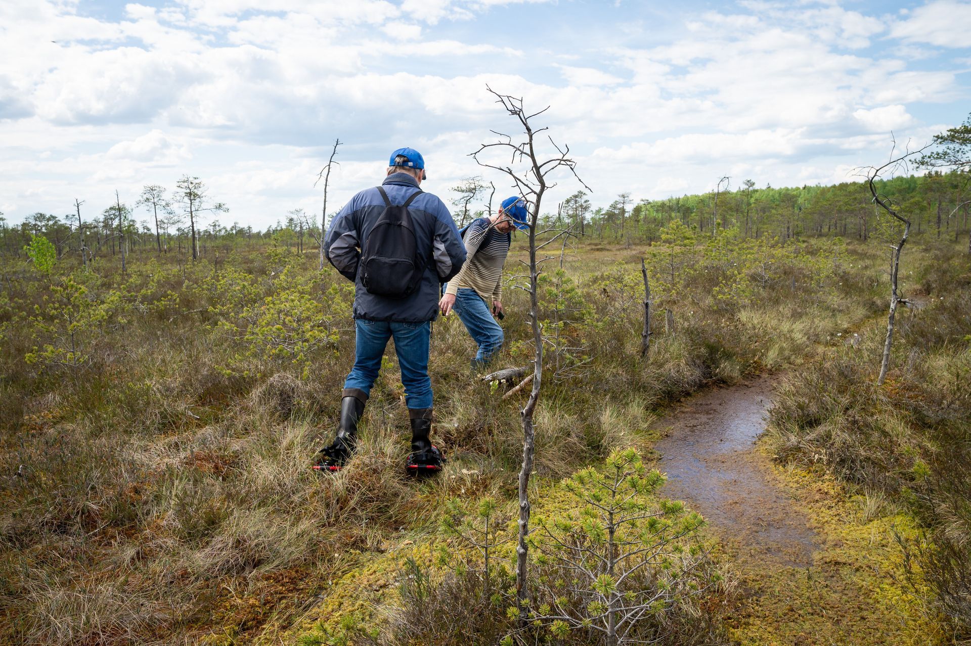 Two hikers in blue jackets walking through a grassy wetland with a narrow stream