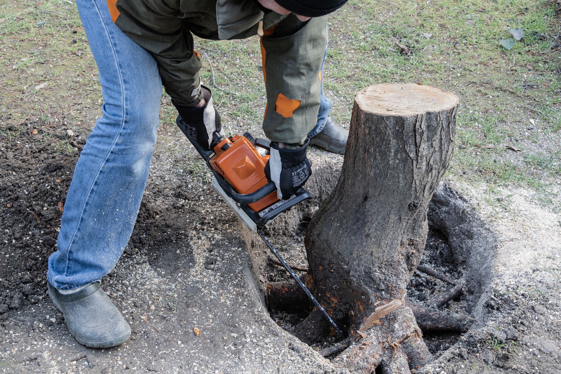 Person using a chainsaw cuts a stump close to the ground outdoors.