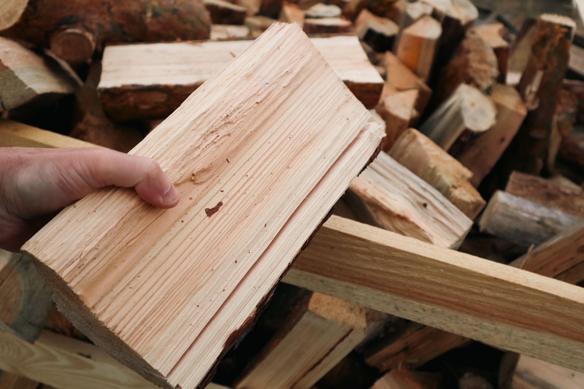 Hand holding split firewood over a pile of chopped logs